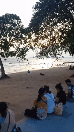 Beachgoers gather at Pattaya during sunny morning hours