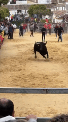 Bull running event draws crowds in Spanish village