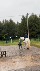 Early morning horseback riding session documented in rural Russia
