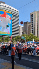 Seoul crowd gathers with flags, watches LED screen demonstration