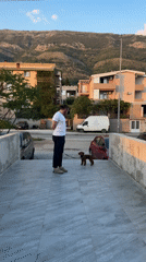 Man with small dog spotted on elevated walkway in Sutomore