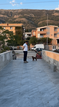 Man with small dog spotted on elevated walkway in Sutomore