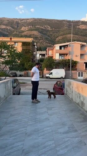 Man with small dog spotted on elevated walkway in Sutomore