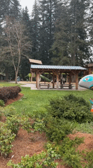 Painted salmon sculpture spotted in Coquitlam park overnight