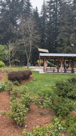 Painted salmon sculpture spotted in Coquitlam park overnight