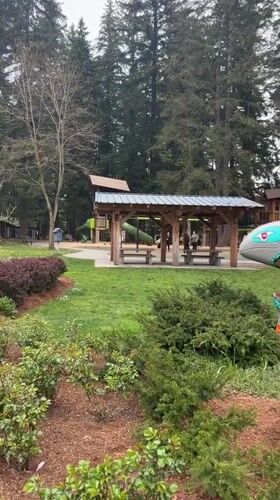 Painted salmon sculpture spotted in Coquitlam park overnight