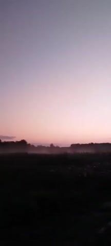 The video shows a misty field at dusk or dawn. The sky is a soft gradient of pink and purple. Trees and low-lying vegetation are visible in the distance, partially obscured by a layer of fog or mist that hugs the ground. The overall atmosphere is serene and tranquil.
