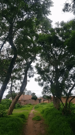 Polluted streams and littered banks in Bukuru, Nigeria