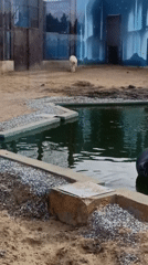 Family enjoys playground and zoo visit in Perm, Russia