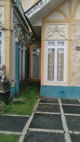 The video shows the exterior of a building with distinctive architectural features. The building has large windows with white frames and ornamental designs above them. The exterior walls are painted in shades of yellow and blue. A pair of stone lion statues flank the entrance, positioned on pedestals. The entrance consists of a set of steps leading to a double door with mesh screens. A walkway paved with black and gray tiles runs in front of the building, and patches of grass grow in the spaces between the tiles. Overgrown vegetation is also present around the lion statues and along the base of the building. The overall impression is of a building with elaborate architectural details, possibly historical, and showing signs of age and some neglect. There are no people visible in the video.