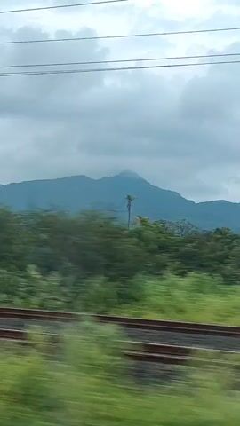 The video captures a view from a moving vehicle, likely a train, looking out at a landscape under a cloudy sky. In the foreground, blurred green vegetation streaks past, indicating rapid motion. A section of train tracks is visible, also blurred by the speed. A tall utility pole with wires stretches vertically through the frame, slightly blurred. In the middle ground, a dense line of green trees forms a natural barrier. Beyond the trees, a large, hazy mountain range dominates the background, its peaks softened by the overcast conditions. The overall impression is one of travel through a rural, possibly mountainous, environment.