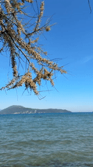 Peaceful coastal afternoon documented in Igalo, Montenegro