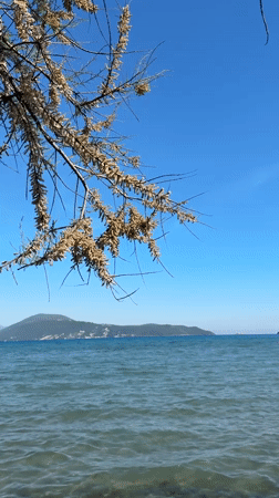 Peaceful coastal afternoon documented in Igalo, Montenegro