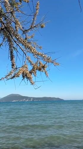 Peaceful coastal afternoon documented in Igalo, Montenegro