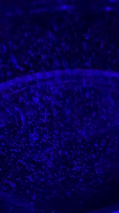 Blue-lit liquid with suspended particles filmed in Perm