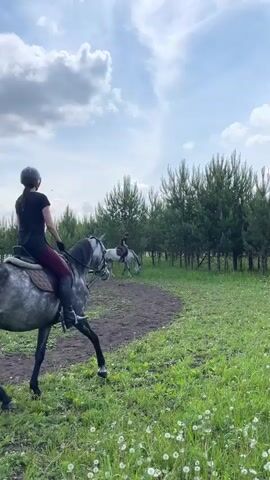 The video shows two people riding horses in a grassy field with trees in the background. The camera is focused on the horse and rider in the foreground, who is wearing a black shirt, dark pants, and a helmet. The horse is gray and appears to be walking. In the background, another person on a lighter-colored horse is also visible. The sky is cloudy and the sun is shining. The overall impression is one of a peaceful outdoor scene.
