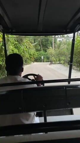 The video begins with a view from inside a golf cart looking forward through the windshield. A person, viewed from the back, is driving the golf cart. They have dark hair and are wearing a light-colored uniform or shirt. The golf cart is on a dirt road lined with lush green vegetation, including palm trees. There is a white sign with a blue border on a post in the distance. The golf cart turns slightly to the right. As the golf cart continues, the vegetation becomes denser and the road curves to the left. The view shifts slightly to the right as the golf cart navigates the turn. The camera angle remains consistent, looking forward from inside the golf cart. The scene appears to be a tropical or subtropical location.