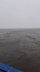 Cargo ship crew works through fog near Shcheleiki, Russia