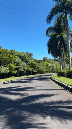 Peaceful tree-lined road documented in Pecatu, Indonesia