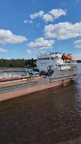 Here's a concise description of the video:

The video shows a large cargo ship, the SHALA, moving on a body of water. The ship has a gray hull and a white superstructure.  It is moving through the water, creating a wake. The sky is blue with scattered white clouds. A shoreline with trees and vegetation can be seen in the background. The water appears murky and brown. The vessel has a life raft on the top deck. The IMO number 8834615 is visible on the ship's side.  There appears to be a person standing on the deck.