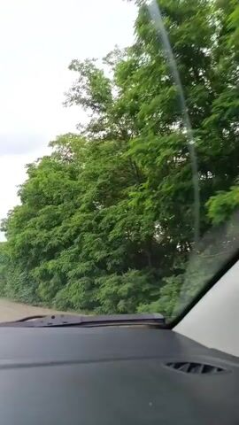 A video shows a view from inside a car driving on a road. The sky is cloudy and gray, with some patches of blue visible. On the right side of the road, there is a dense line of green trees and foliage. The car's dashboard is partially visible in the foreground, along with the windshield which has a streak of water on it. The road itself is paved and appears to have a yellow line marking the center. The trees are lush and green, indicating a temperate or tropical climate. The overall impression is one of traveling through a scenic, green landscape under an overcast sky.