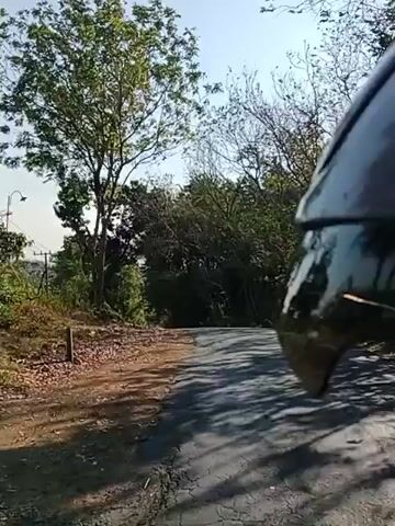 A first-person perspective video captures a drive on a rural, paved road. The road is cracked and bordered by dry dirt and fallen leaves on the left, and lush green trees and foliage on the right. Tall trees with bare branches are on the left side of the road, while denser trees and vegetation line the right. In the distance, a person on a motorcycle approaches and passes the camera. The sky is bright blue and clear, suggesting a sunny day. The video is shot from a moving vehicle, likely a car, as indicated by the side mirror visible on the right edge of the frame. Electrical poles are visible in the background on the left side of the road.