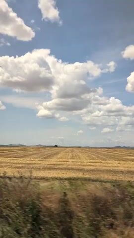 The video shows a passing view of a harvested wheat field with blue sky and white clouds. The field has rows of stubble, indicating recent harvesting. In the foreground, there are blurred green bushes. A single tree is visible in the distance on the horizon. The perspective suggests the video was filmed from a moving vehicle.