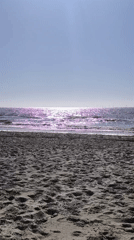 Beachgoer documents afternoon at Bergen, Netherlands coastline