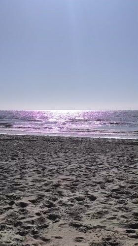 Beachgoer documents afternoon at Bergen, Netherlands coastline