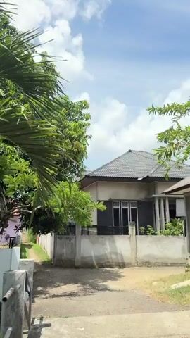 The video shows a perspective from a moving vehicle, looking out at a residential area. Trees and greenery are visible in the foreground, obscuring some of the view. The first frame shows a portion of a house with a corrugated metal roof and an open-air porch. The second frame pans to the side of a house with a rough, gray plastered wall and a dark-colored roof. There are two sets of decorative concrete blocks on the wall. The third frame shows a row of shops with white folding doors, a corrugated metal roof, and a clear sky with clouds. The fourth frame shows a street with houses on either side. One house is partially visible on the left, and another house, which appears to be a modern design with a concrete and brick facade, is prominent on the right. The final frame continues to show the houses and trees lining the street, with more of the brick and concrete fencing visible. Power lines are visible across the sky throughout the video.