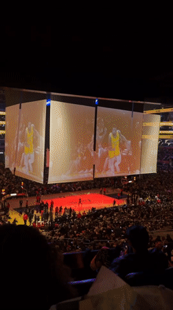 Lakers Fan Documents Game Experience and Arena Concessions