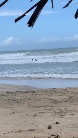 The video shows a beach scene. In the foreground, there is sand with some dried leaves and debris. In the middle ground, there are waves breaking on the shore. In the background, two people are visible in the ocean, seemingly interacting with the water. Above the ocean, there is a blue sky with some clouds. The top of the frame is partially obscured by dark, leafy branches, possibly from a palm tree, which creates a natural vignette effect. The lighting suggests it is daytime.