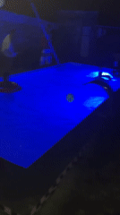 Evening poolside party with blue lighting and live speaker