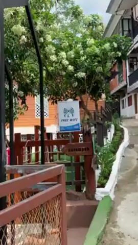 Here is a concise description of the video:

The video shows the entrance to a playground area, marked by a sign that says "FREE WIFI" and an arrow pointing to "Kerompak." The playground features wooden structures, rope nets, and other climbing equipment. Trees surround the area, and there is a building visible in the background.