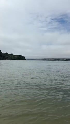 A vertical video shows a large body of water with gentle waves and a cloudy sky. On the left side of the frame, a dark green, tree-covered cliff juts out into the water. In the distance, across the water, is a gently rolling hillside with dry grass and scattered trees. A dark, rectangular object, possibly a small raft or buoys, floats on the water in the middle ground. Several small white objects, possibly buoys or birds, are visible further in the distance on the water. The water appears murky and greenish-brown. The video appears to be filmed from a stable, stationary position, likely from a dock or the shore.