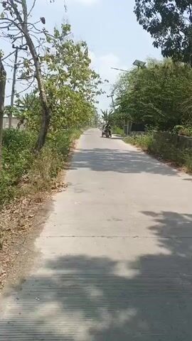A motorcycle with a trailer is traveling down a paved road. The motorcycle has a rider wearing a green shirt and yellow boots. The trailer is blue and contains large white bags. The road is lined with trees and vegetation. The sky is clear and the sun is shining.
