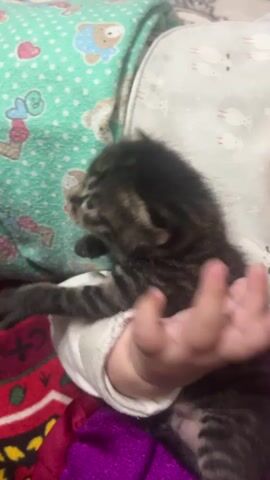 A close-up shot shows a tiny, dark tabby kitten being held in someone's arms. The kitten is wearing a white sock or sleeve. The person's hand is gently stroking the kitten's head and ear. The kitten is looking to the left with its mouth slightly open, possibly a yawn or a purr. The background includes a patterned blanket with teddy bears and other baby-themed motifs, and a purple fabric. The lighting is dim, suggesting an indoor setting, possibly a bedroom or nursery. The overall scene conveys a sense of warmth and care.