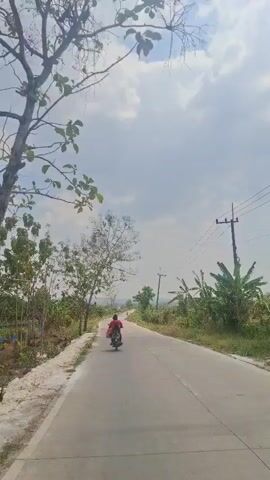 A motorcycle with a single rider is traveling on a paved road. The rider is wearing a red shirt. The road is bordered by vegetation and trees on both sides. There is a utility pole with wires on the right side of the road. The sky is cloudy.