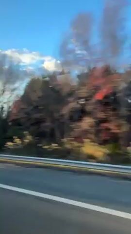 The video shows a view from a moving vehicle on a highway. On the right side of the road is a metal guardrail. Beyond the guardrail is a landscape consisting of trees, shrubs, and some fields. The sky is blue with scattered clouds. The camera appears to be inside a vehicle, recording the passing scenery. An overpass structure is also seen briefly passing by.
