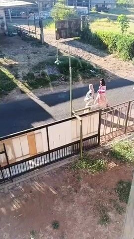 Three individuals are walking on a paved road. The person closest to the camera on the left is wearing a pink and white patterned dress and carrying a white object. The middle person is wearing a green head covering and carrying a white object. The third person, further to the right, is wearing a dark head covering and carrying a pink object. They are walking past a metal fence and a street light. The background shows trees, grass, and some buildings. The lighting suggests it is daytime.