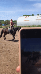 Woman rides brown horse in sunny Kharkiv arena