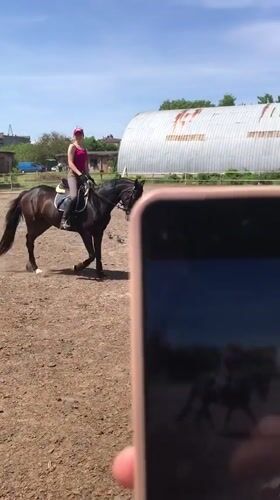 Woman rides brown horse in sunny Kharkiv arena