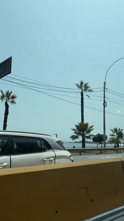 Traffic flows along palm-lined coastal road in Miraflores