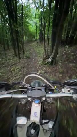 A first-person perspective video shows a dirt bike rider navigating a narrow, winding dirt path through a dense forest. The trees are tall and the foliage is green, suggesting it is either spring or summer. Sunlight filters through the canopy, creating dappled light and shadows on the path. The path itself appears to be uneven and covered with dirt and fallen leaves. The rider's hands are visible on the handlebars of the dirt bike, and the front of the bike is also visible. The overall impression is one of an off-road adventure or trail riding.