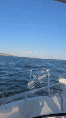 Morning boat journey captures sea conditions off Bulgarian coast