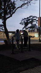 Morning scenes captured across Da Lat's parks, cafes, gardens