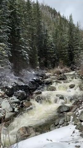 The video shows a swiftly flowing river cascading over rocks in a forest. The banks and surrounding areas are covered in patches of snow. The river is turbulent and white, contrasting with the gray rocks it flows over. Towering evergreen trees line the riverbanks, partially covered in snow. The sky is overcast, contributing to the subdued lighting of the scene.