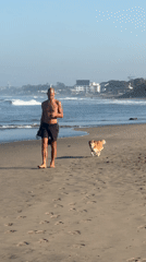 Woman walks four dogs on North Kuta beach