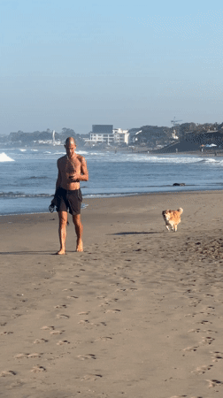 Woman walks four dogs on North Kuta beach