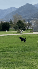 Everyday scenes captured around Bar, Montenegro waterfront and parks